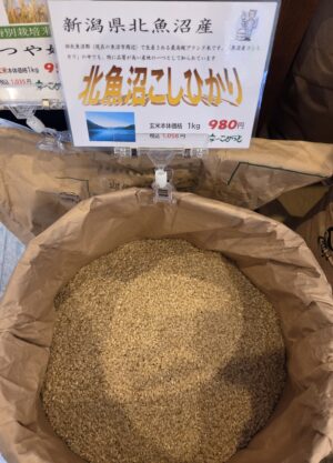新潟県産「北魚沼コシヒカリ」入荷しています！