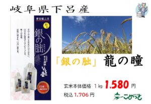 令和7年産 岐阜県下呂産「銀の朏」いのちの壱　入荷しました！