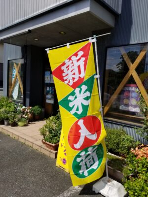 令和7年産高知県産「よさ恋美人」入荷しました！