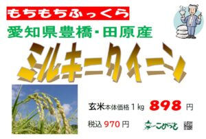 令和7年産 愛知県豊橋・田原産「ミルキークイーン」入荷しました！