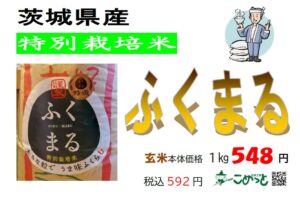 茨城県産 特別栽培米「にこまる」入荷しています！