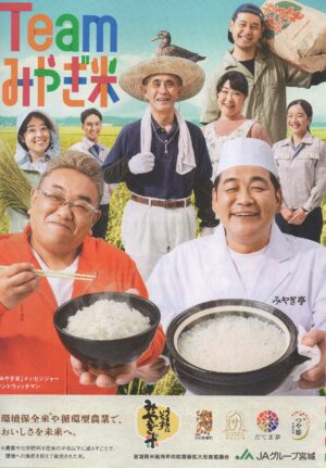 8年産 宮城県登米産 特別栽培米「つや姫」入荷しました！