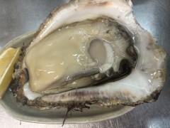 ９月の休業日　9・10日連休します