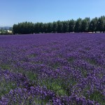 ちょっと北海道