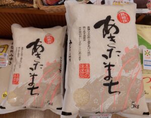 令和7年産 長野県飯山市「幻の米こしひかり、幻妹あきたこまち」入荷しました！