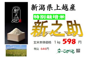 新潟県上越産 特別栽培米「新之助」入荷しています