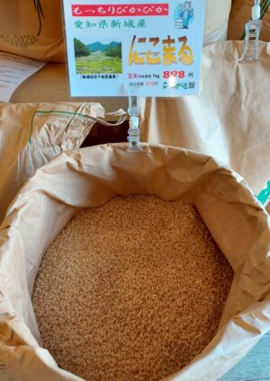 令和7年産 愛知県新城産「にこまる」入荷しました！
