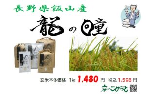 令和7年産 長野県飯山産「龍の瞳」入荷しました！